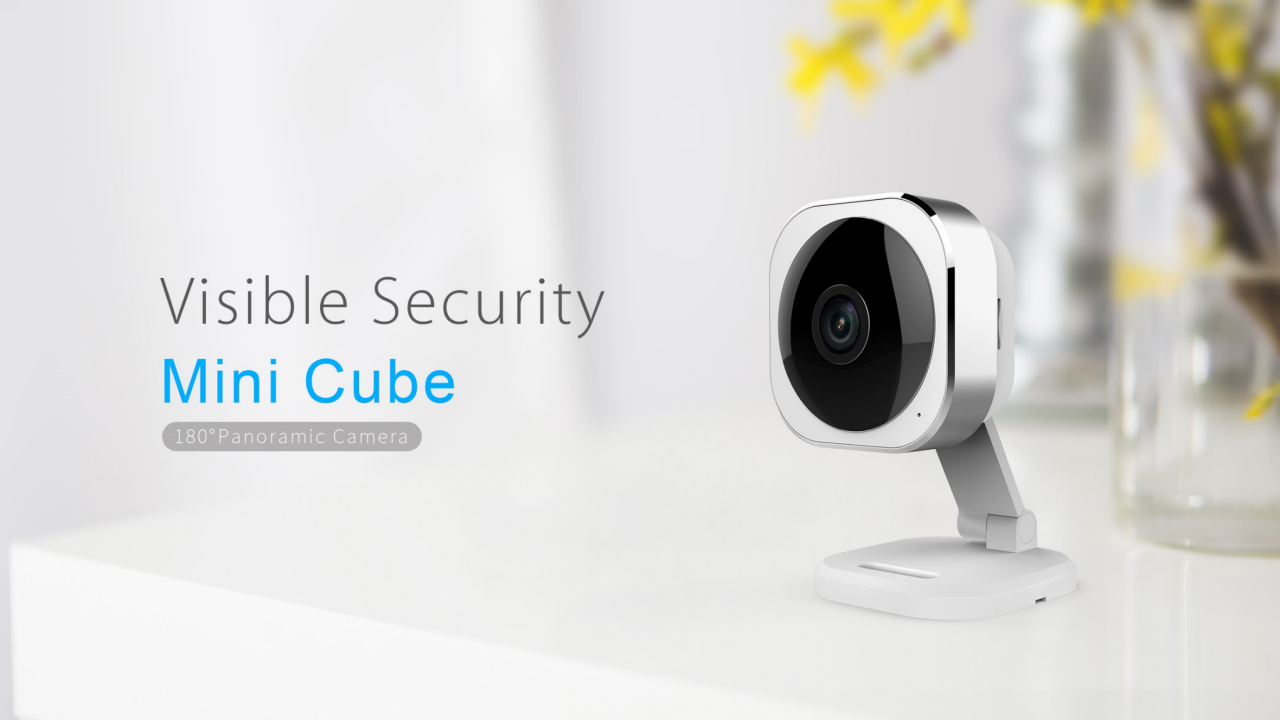 Cube-Type 180°Panoramic Camera